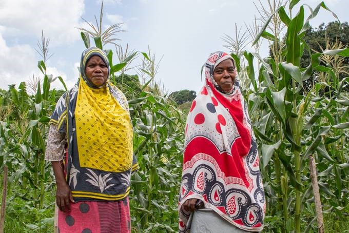 Women of Pemba 2.jpg Women of Pemba 2.jpg